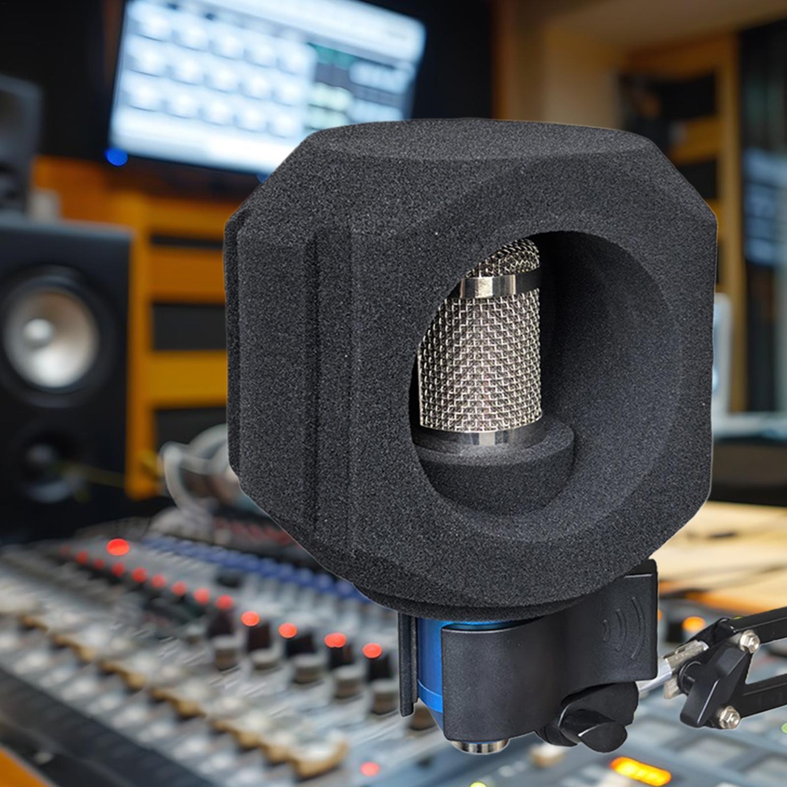 Microphone Isolation Ball Nois - Shure Mic Sm58 recension och pris